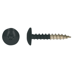 HPL schroef Tx20 4,8x25 R7016 A4 100 stuks