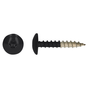 HPL schroef Tx20 4,8x25 R9005 A4 100 stuks