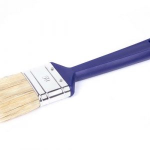 Wegwerp kwast plat 50mm