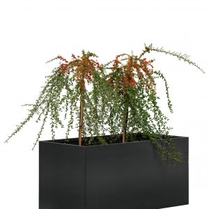 Bloembak Mohawk, - Bloembak Mohawk, zwart gepoedercoat staal 50 x 90 x 50 cm