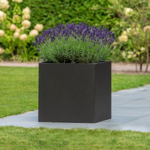 Bloembak Mohawk, - Bloembak Mohawk, zwart gepoedercoat staal 50 x 50 x 50 cm